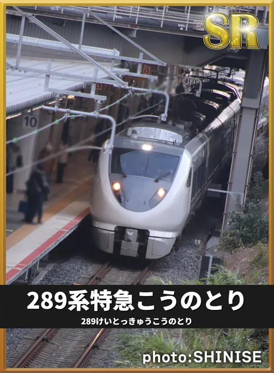 収録カード
